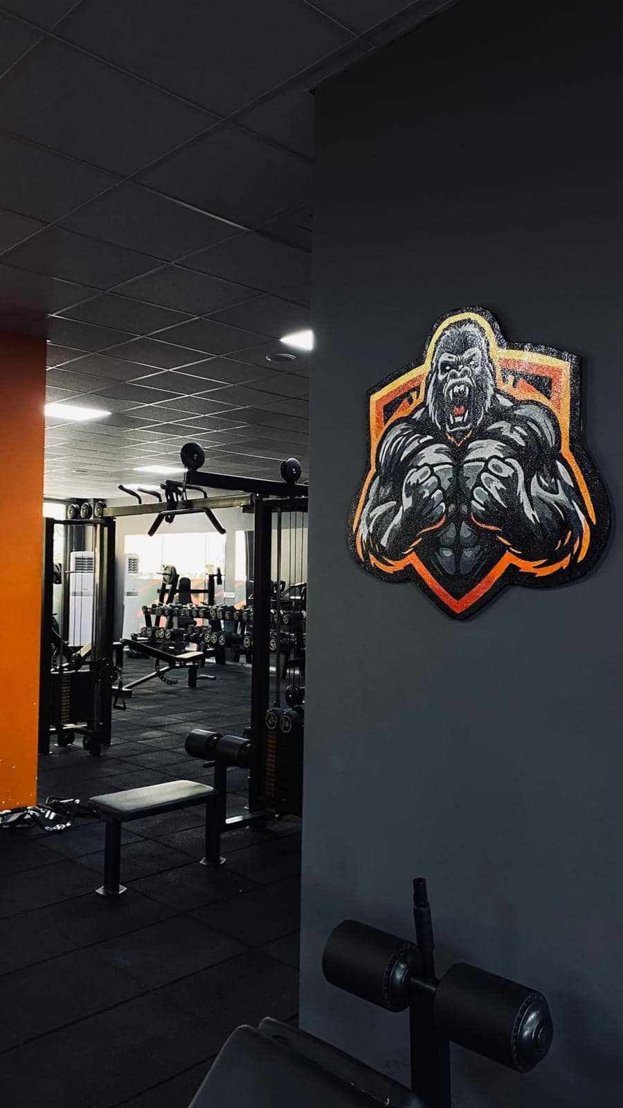 GymLab Dalaman Salon Görünümü 16
