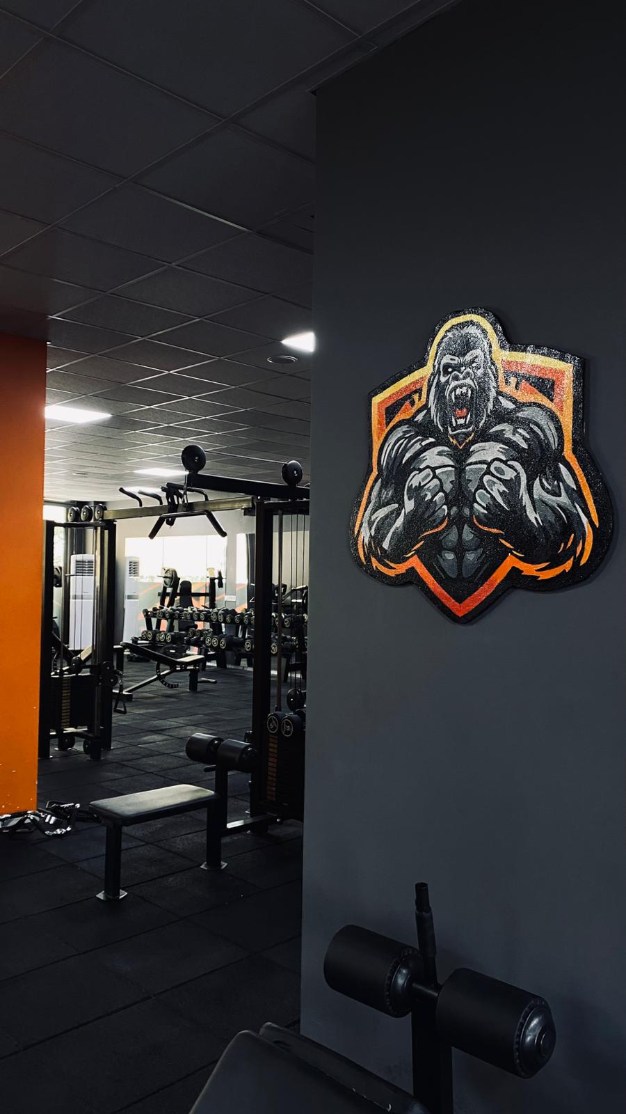 GymLab Fitness Salonu Görünümü 16